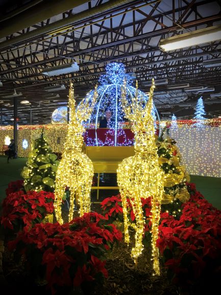 Christmas Countdown - 3 months to go