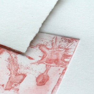 FLEUR DE COTON 250gsm Professional Printmaking Paper