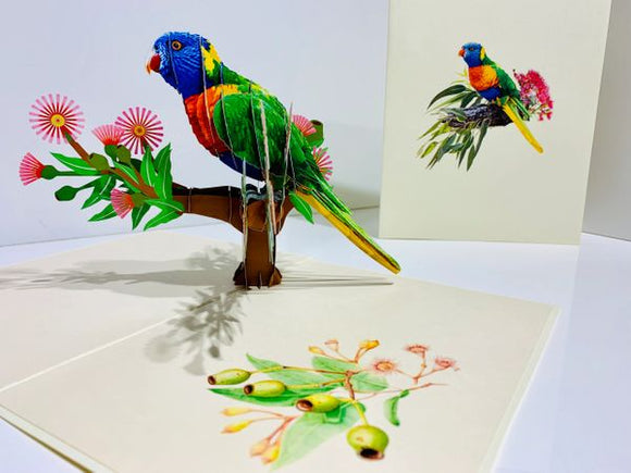 Rainbow Lorikeet Aussie Parrot 3D Card